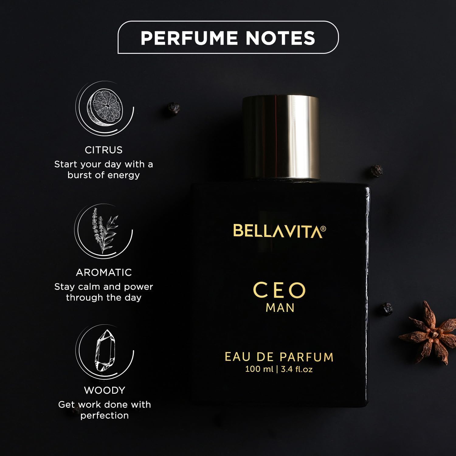 Bella Vita Luxury CEO MEN Long Lasting Perfume for Man | Lemon, Lavender, Tonka, Mandarin & Vetiver | Woody, Citrus Premium Fragrance | Ideal for Every Moment