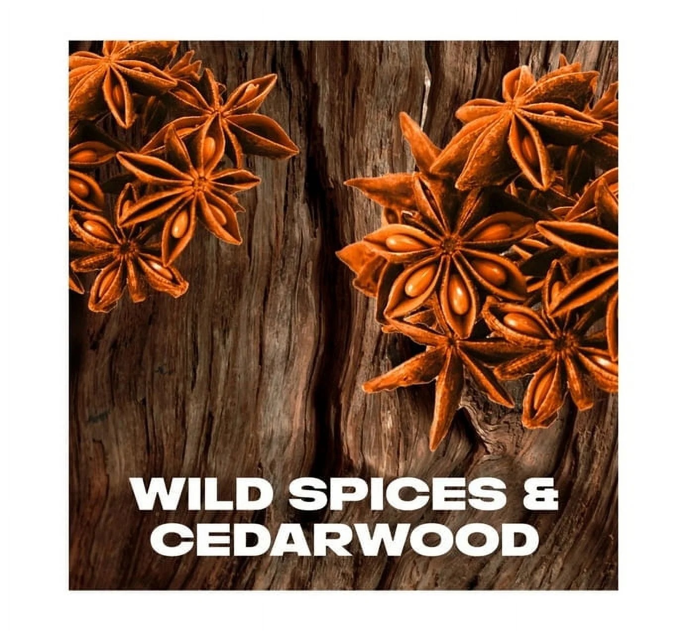 Axe Wild Spices Body Spray For Men – 150ml